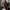 Curved Brim Snapbacks